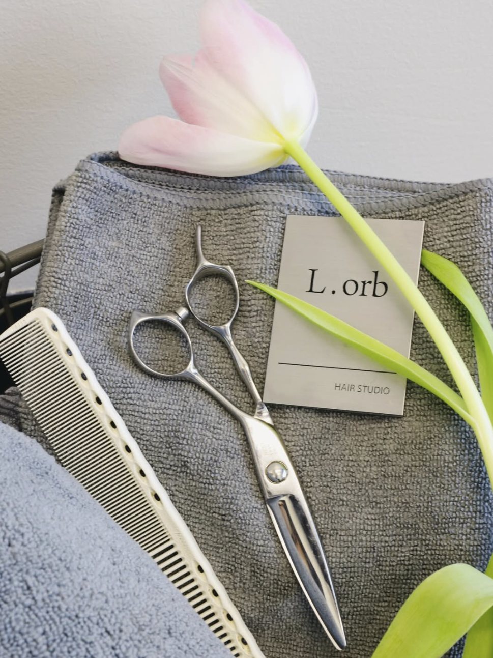 Studio tools ??shears, comb, and tulip